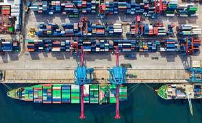 BS Supply Chain Management
